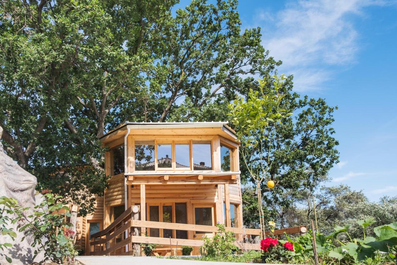 Romantic Tree House Kato Pavliana Ngoại thất bức ảnh